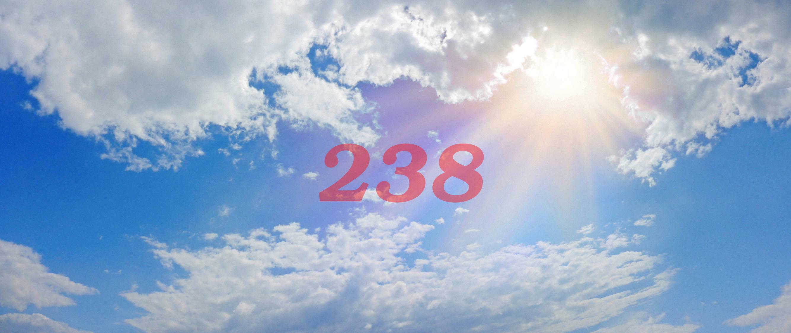 Angel Number 238 Numerology Meaning