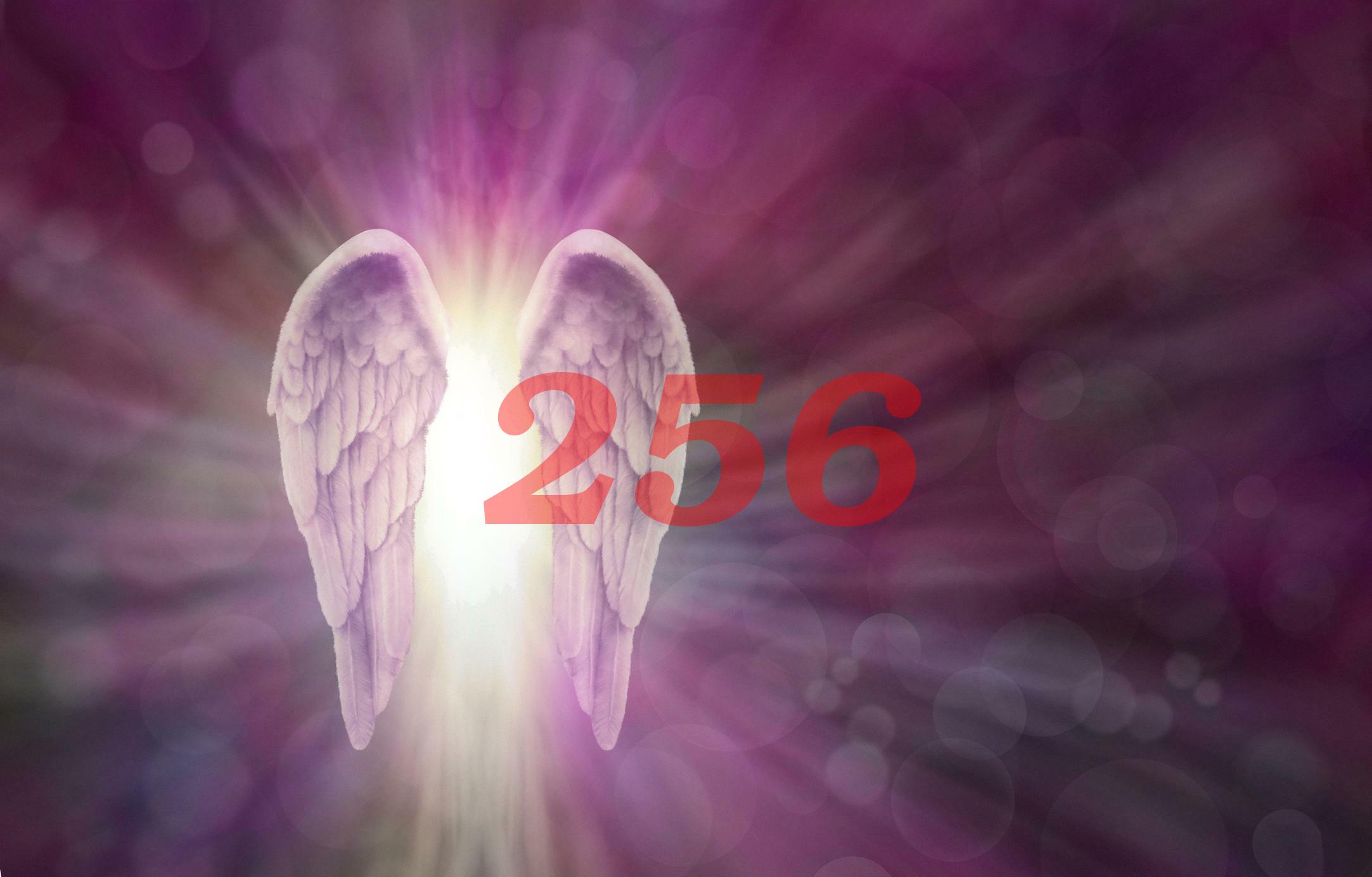 What Does The Angel Number 256 Mean? - TheReadingTub