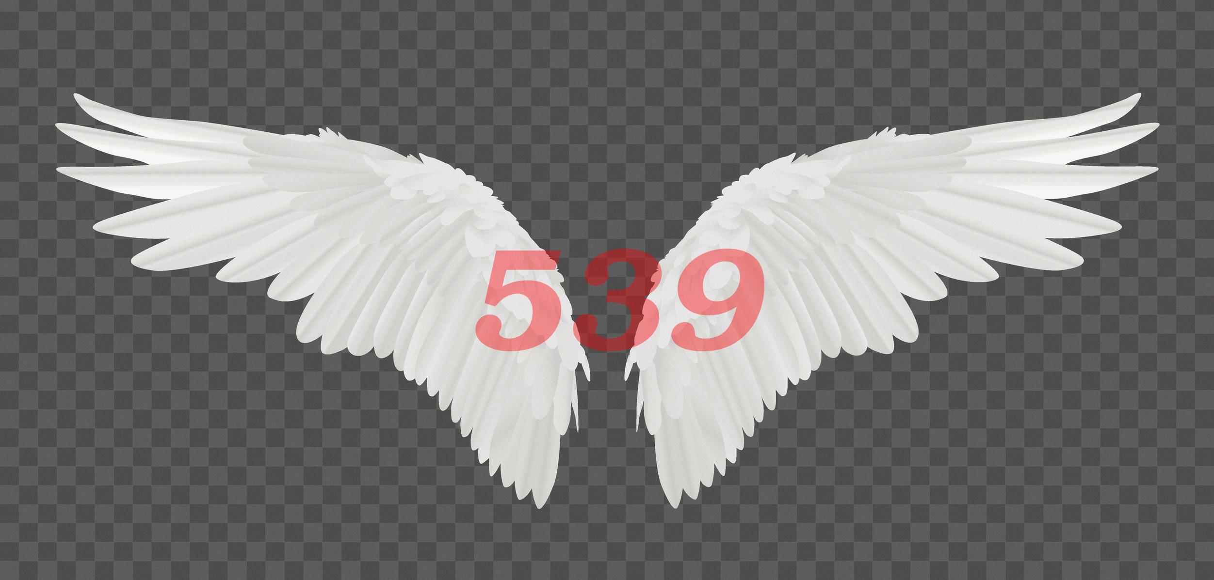 Angel Number 539 Numerology Meaning