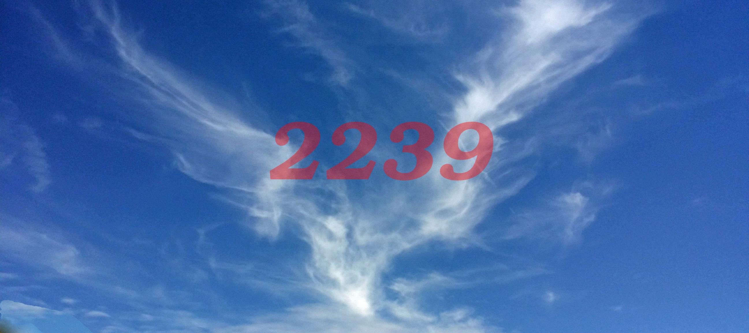 Angel Number 2239 Numerology Meaning