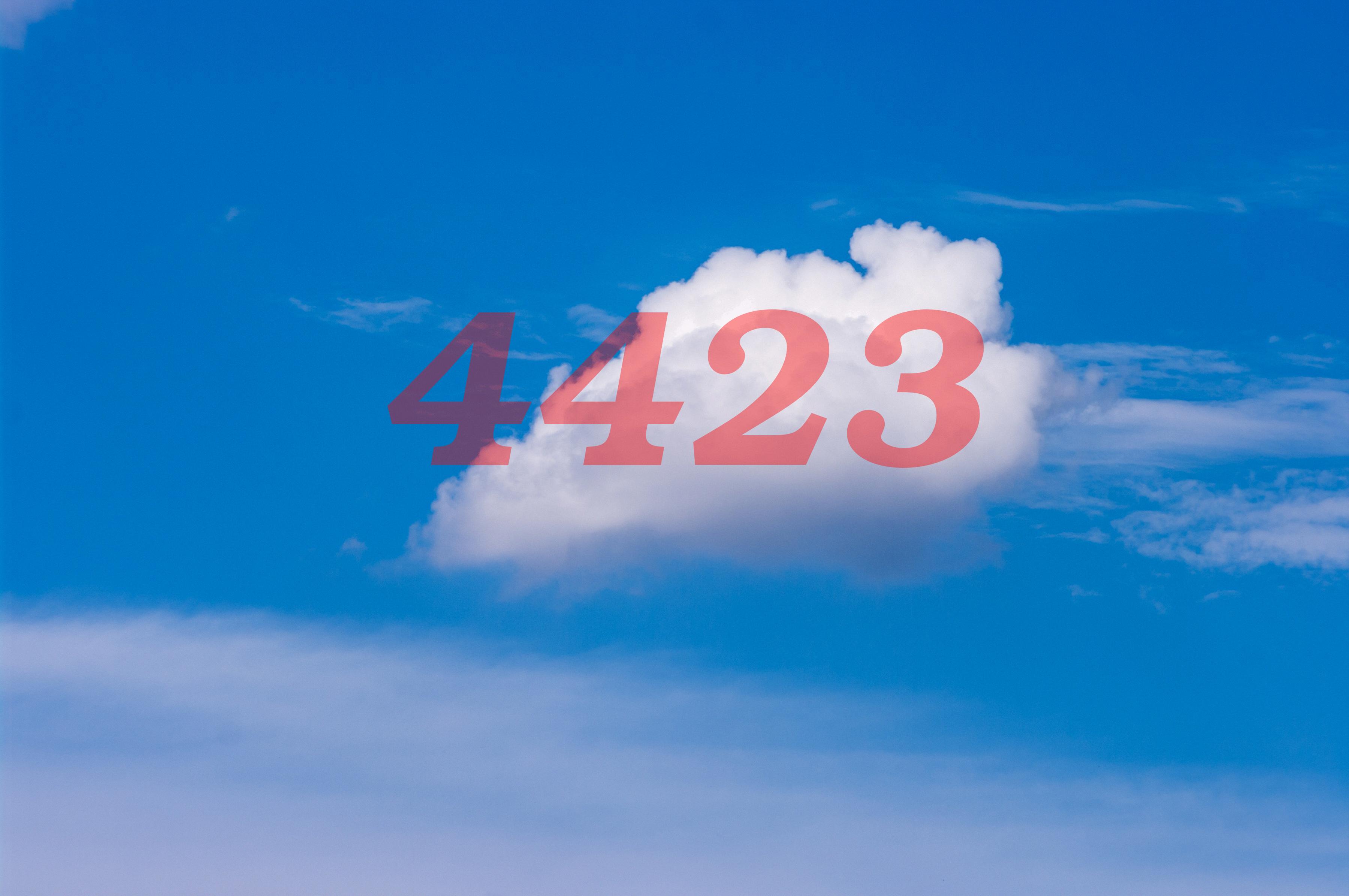 What Does The Angel Number 4423 Mean? - TheReadingTub