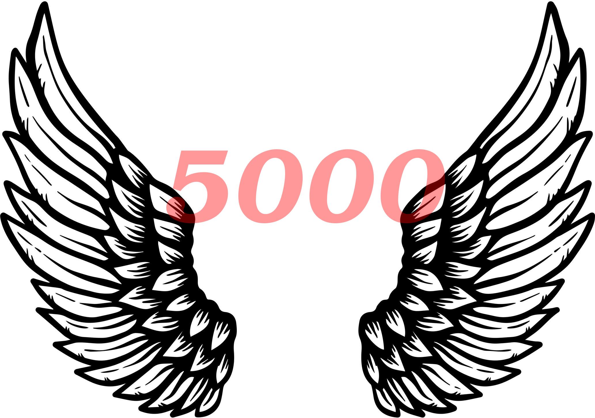 what-does-the-angel-number-5000-mean-thereadingtub